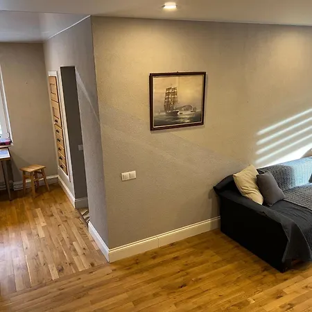 Apartamentas - Zalia Pusis Apartment *